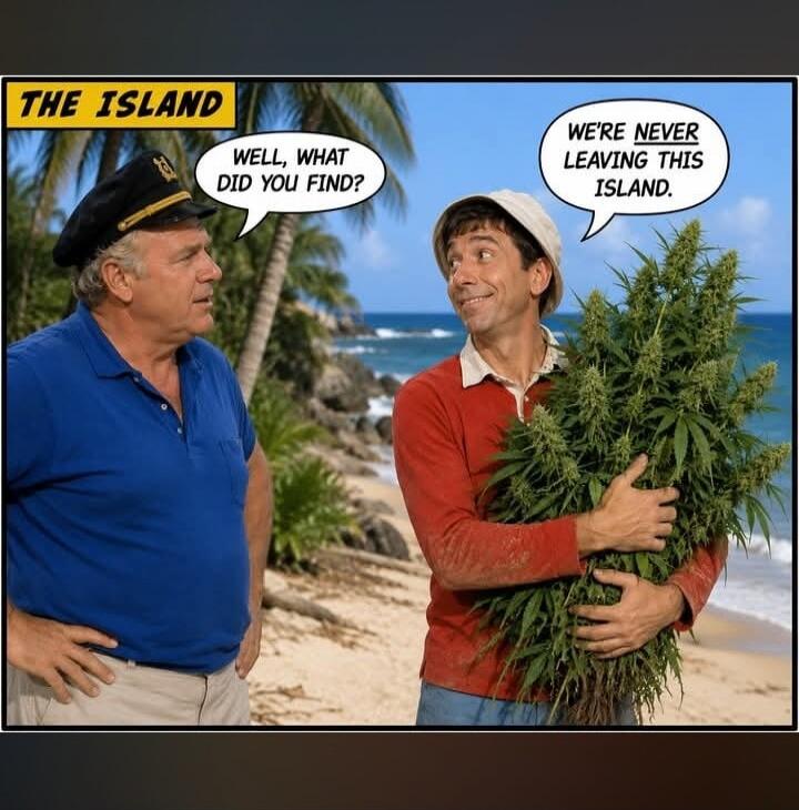 THE ISLAND. WELL, WHAT DID YOU FIND? WE'RE NEVER LEAVING THIS ISLAND.