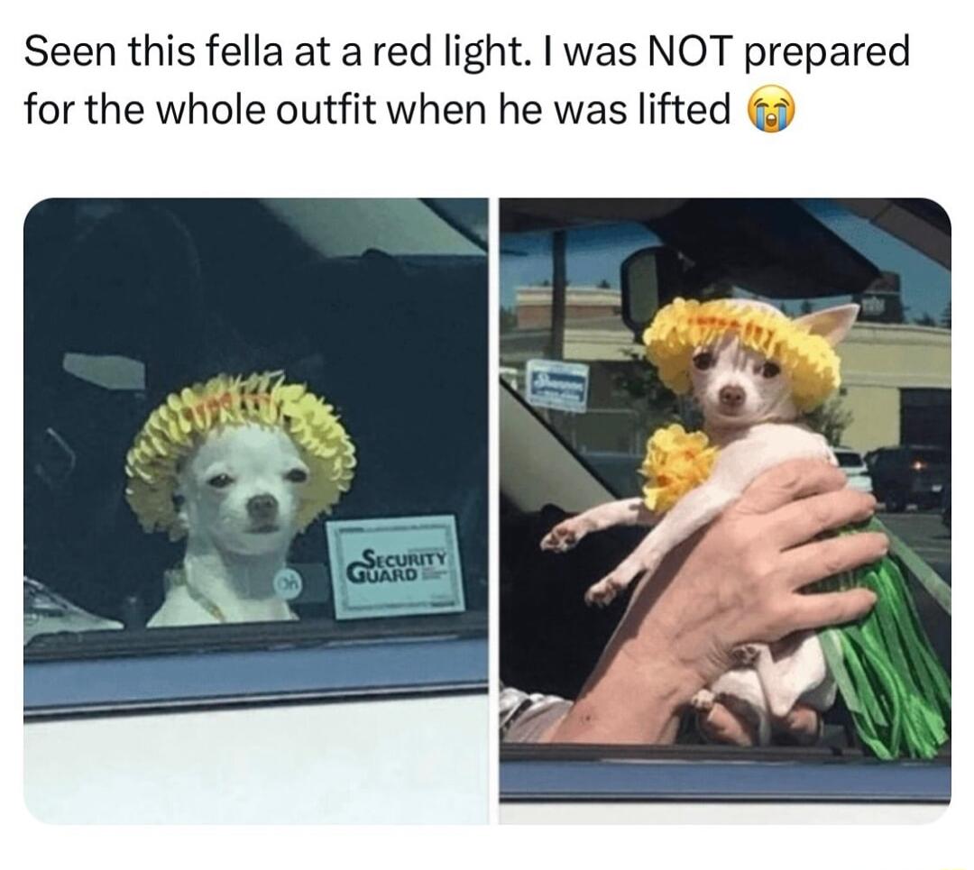 Seen this fella at a red light was NOT prepared for the whole outfit when he was lifted