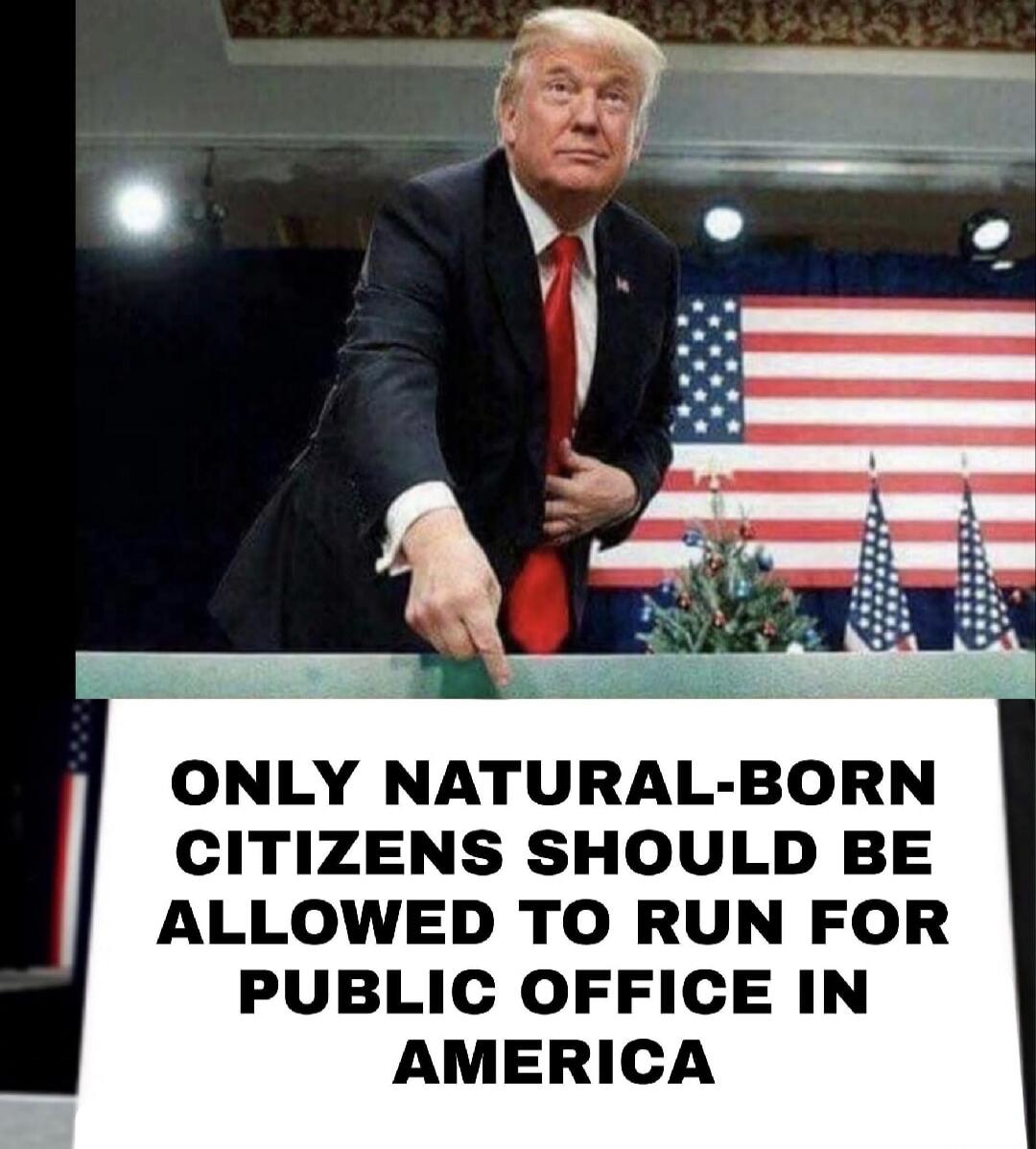 ONLY NATURAL-BORN CITIZENS SHOULD BE ALLOWED TO RUN FOR PUBLIC OFFICE IN AMERICA
