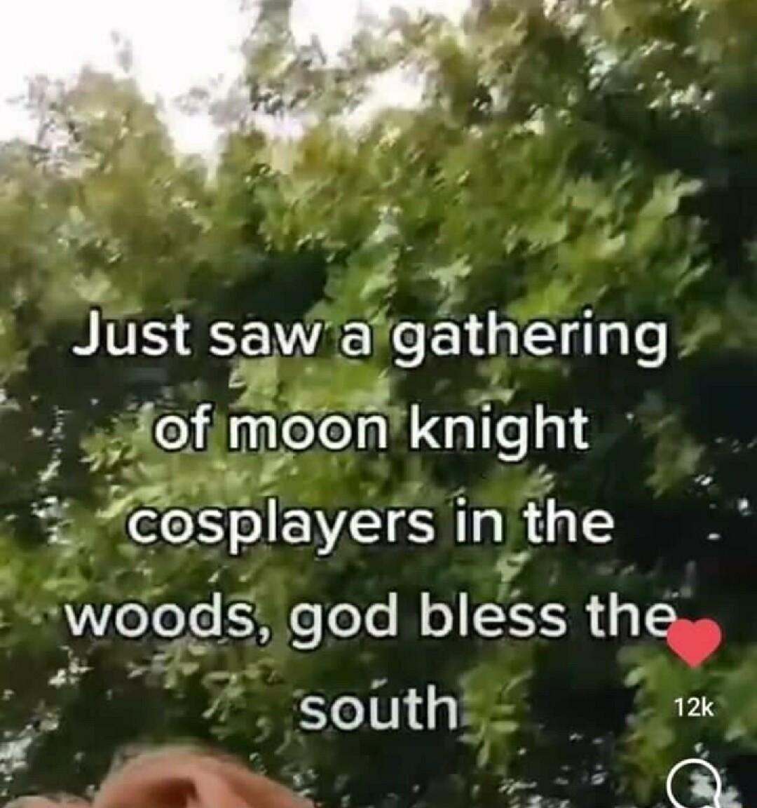 Just saw Sgathering moon knlght cosplayers in the woods feee bless the P S 5 south 12 i