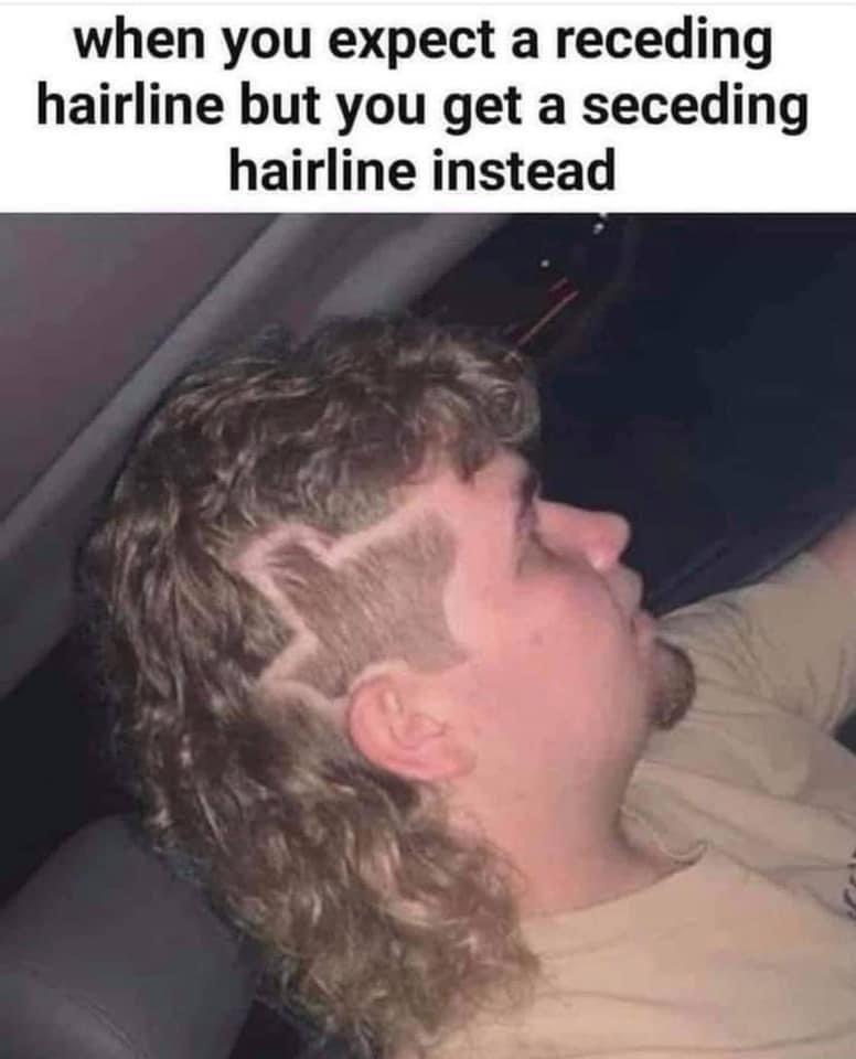 when you expect a receding hairline but you get a seceding hairline instead