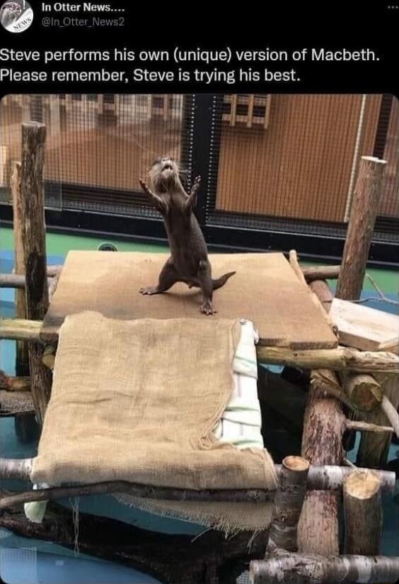 In Otter News Steve performs his own unique version of Macbeth MEEEERCINEN DTS CIVERER QUL S S