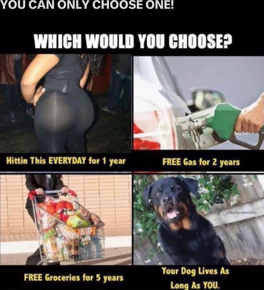 YOU CAN ONLY CHOOSE ONE WHICH WOULD YOU CHOOSE Hittin This EVERYDAY for 1 year FREE Gas for 2 years Your Dog Lives As FREE Groceries for 5 years Long As YOU