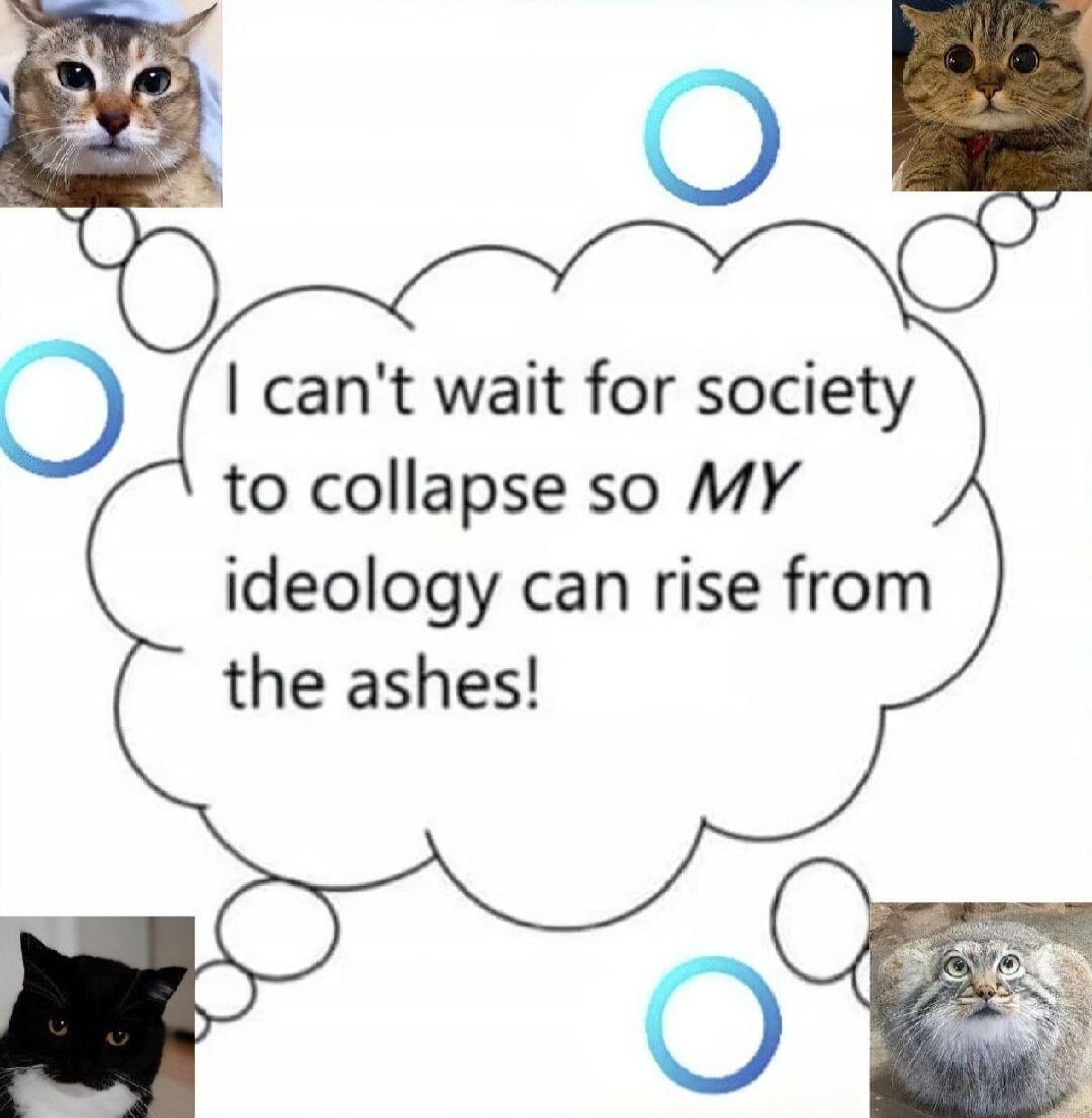 cant wait for society to collapse so MY ideology can rise from the ashes