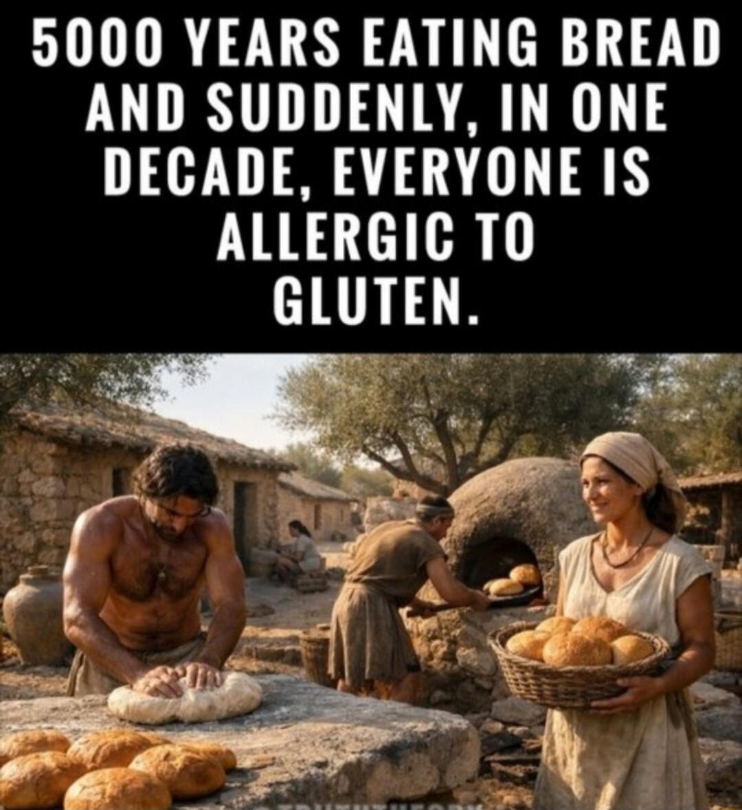 5000 YEARS EATING BREAD AND SUDDENLY, IN ONE DECADE, EVERYONE IS ALLERGIC TO GLUTEN.