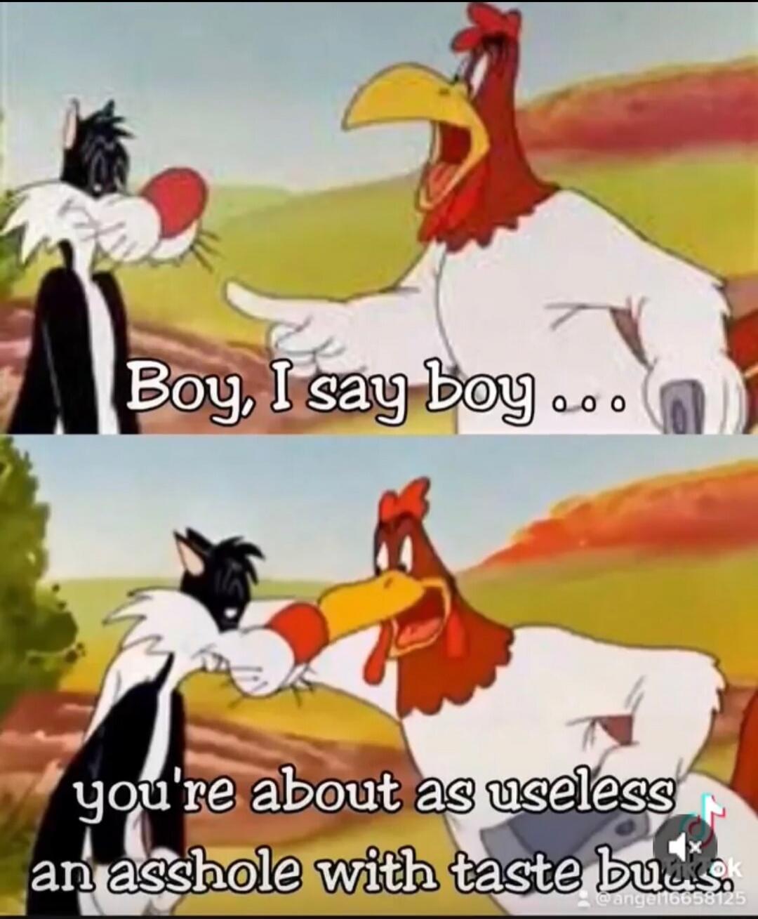 Boy, I say boy... you're about as useless an asshole with taste buds