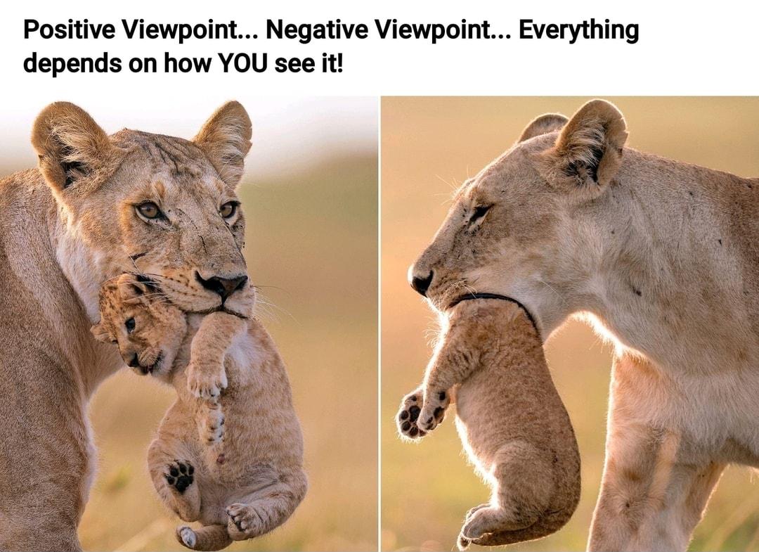 Positive Viewpoint Negative Viewpoint Everything depends on how YOU see it