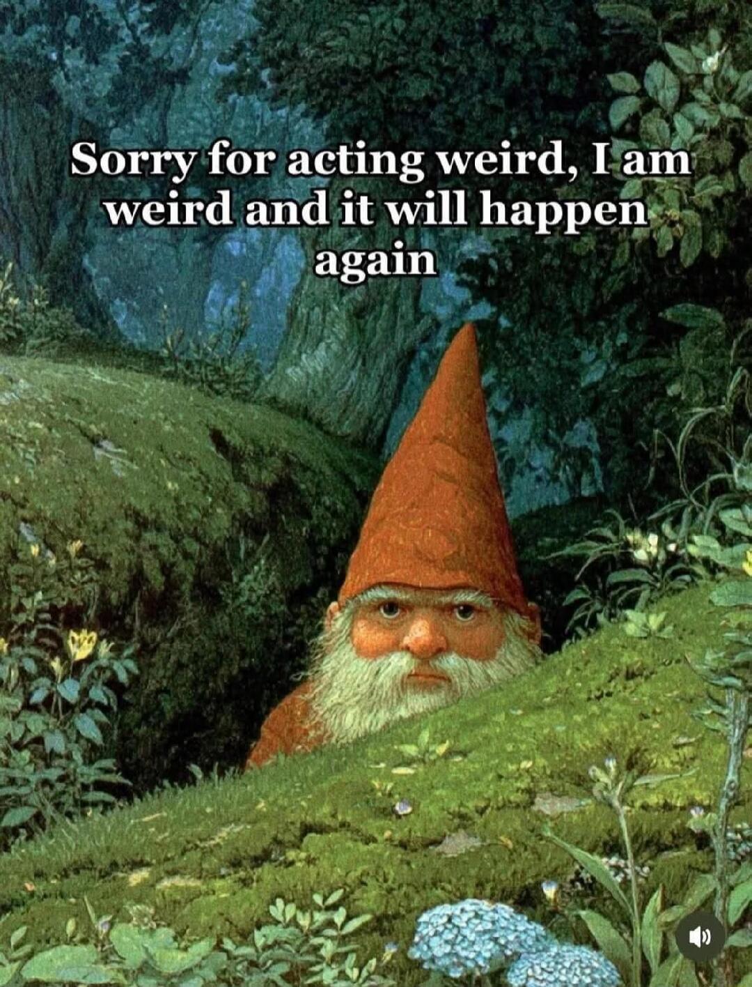 Sorry for acting weird, I am weird and it will happen again