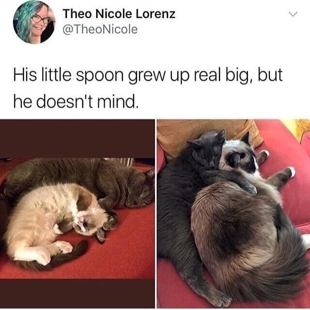 Theo Nicole Lorenz ole His little spoon grew up real big but he doesnt mind