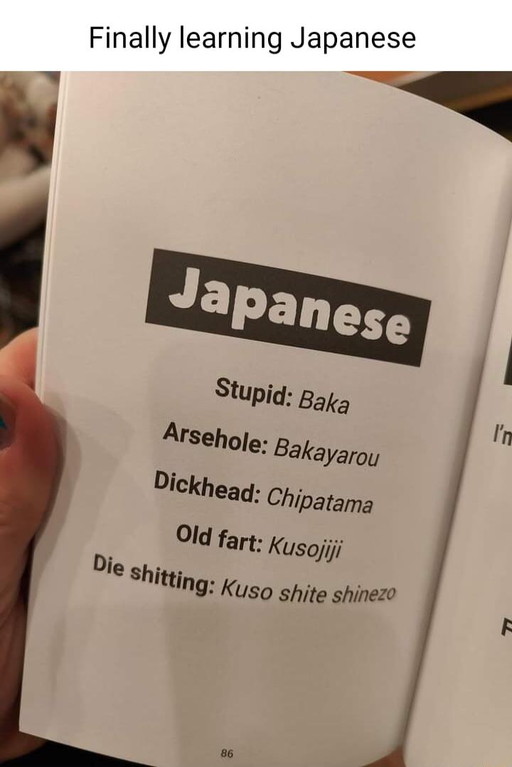 Finally learning Japanese R Japanese 1 Stupig Baka In Arsehale Bakayaroy Dickhead Chipatama Old far Kusojiji Die shming Kuso shite shinezo