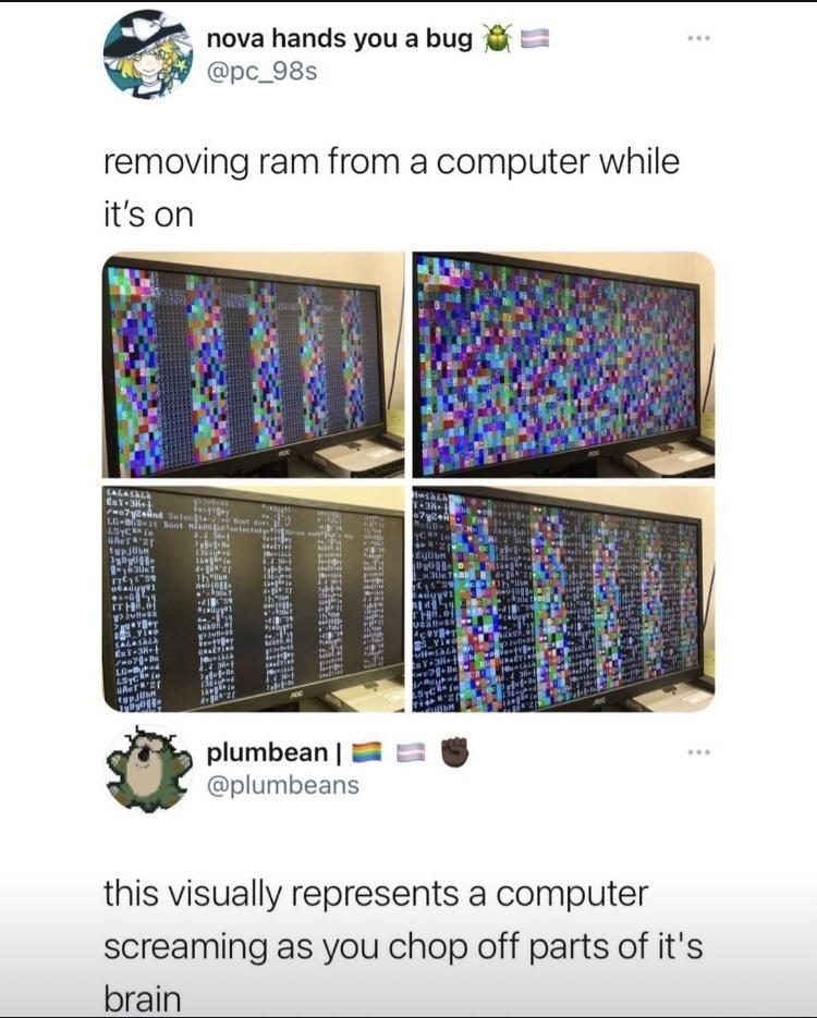 7 nova hands you a bug pc_98s removing ram from a computer while itson plumbean 2 plumbeans this visually represents a computer screaming as you chop off parts of its brain