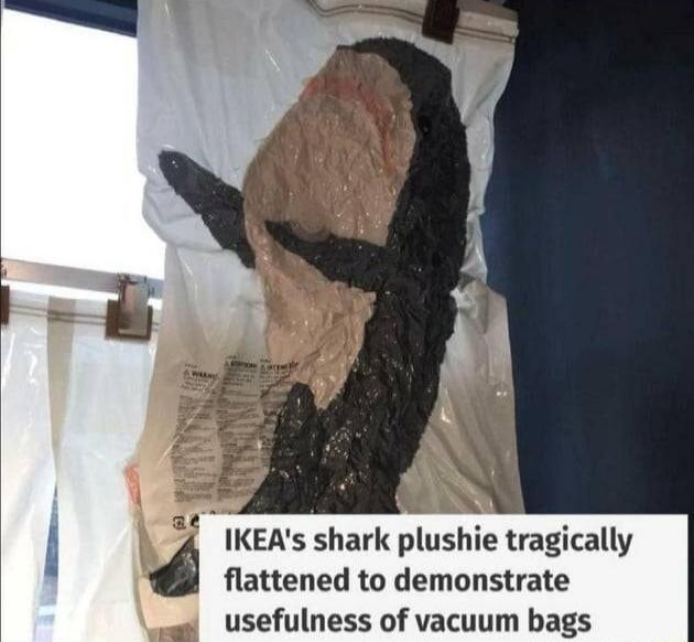 4 KEAs shark plushie tragically flattened to demonstrate usefulness of vacuum bags