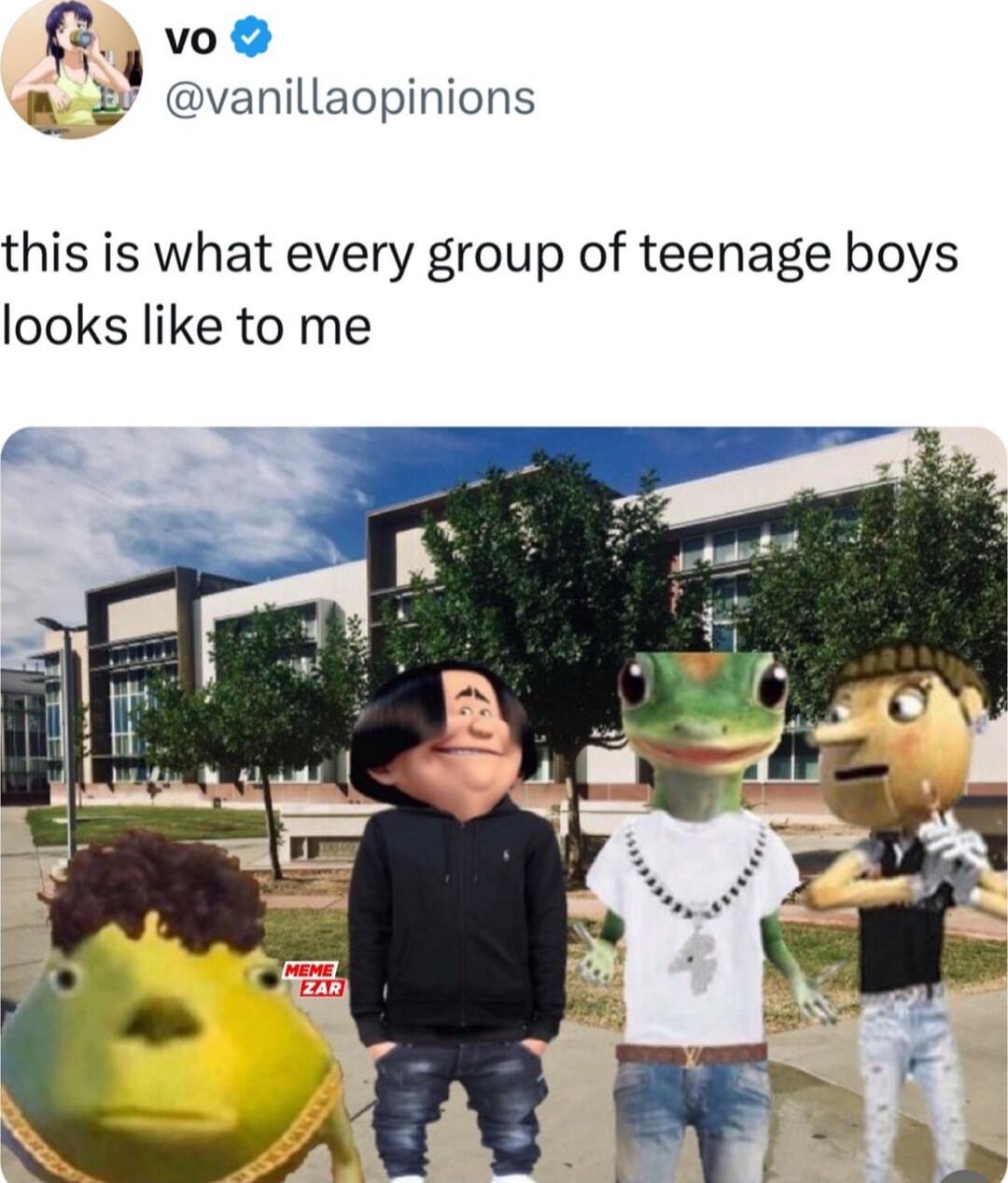 vo Qvanillaopinions this is what every group of teenage boys looks like to me