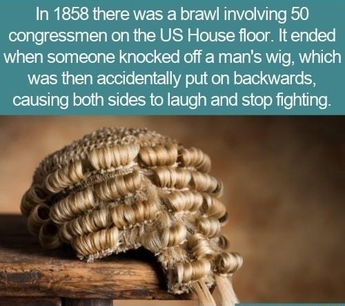 n fact W1 F 1un ot 2185 In 1858 there was a brawl involving 50 congressmen on the US House floor It ended when someone knocked off a mans wig which was then accidentally put on backwards causing both sides to laugh and stop fighting