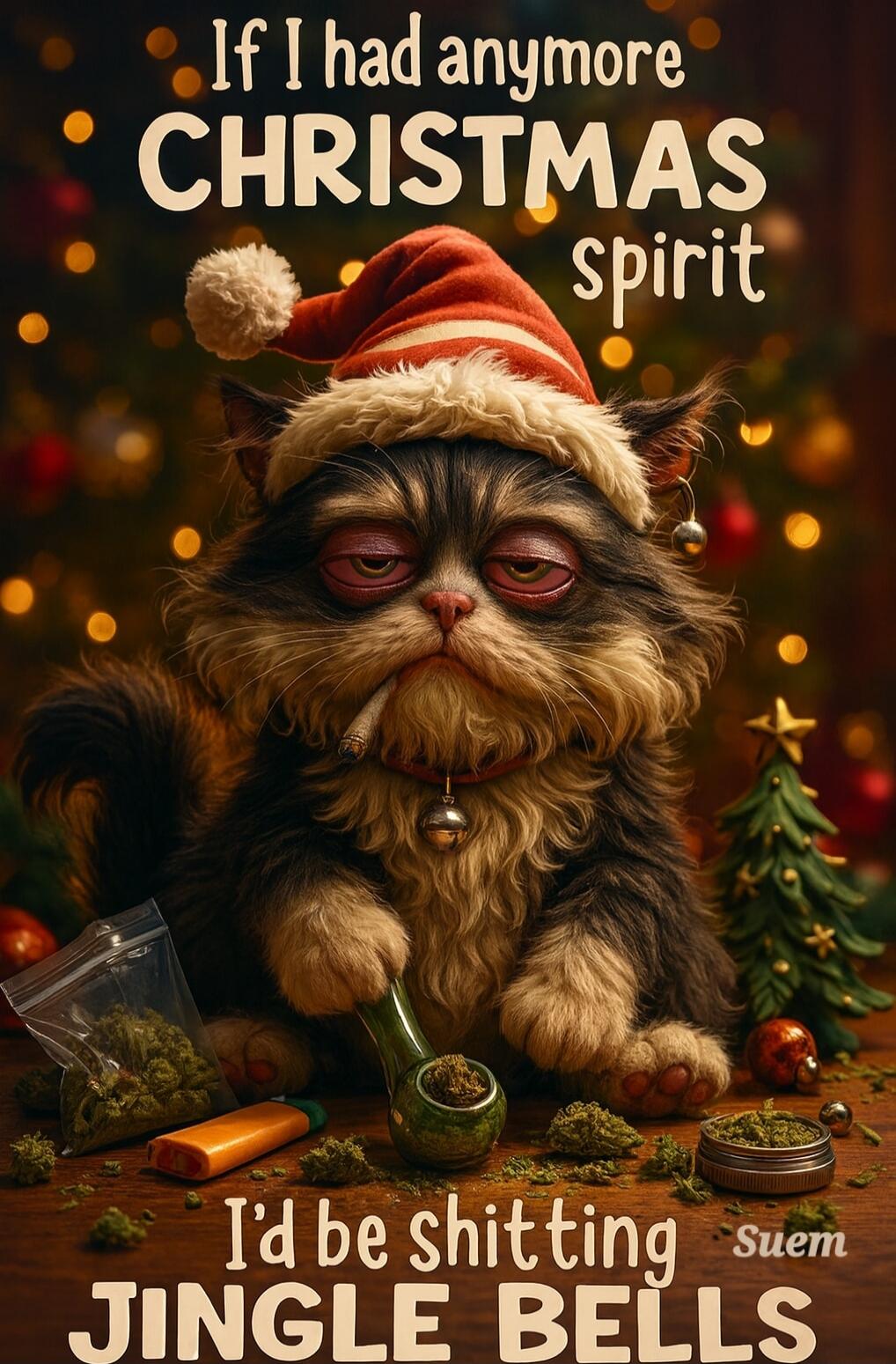 If I had anymore CHRISTMAS spirit I'd be shitting JINGLE BELLS