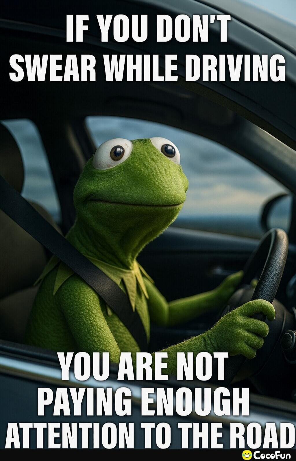 IF YOU DON'T SWEAR WHILE DRIVING YOU ARE NOT PAYING ENOUGH ATTENTION TO THE ROAD