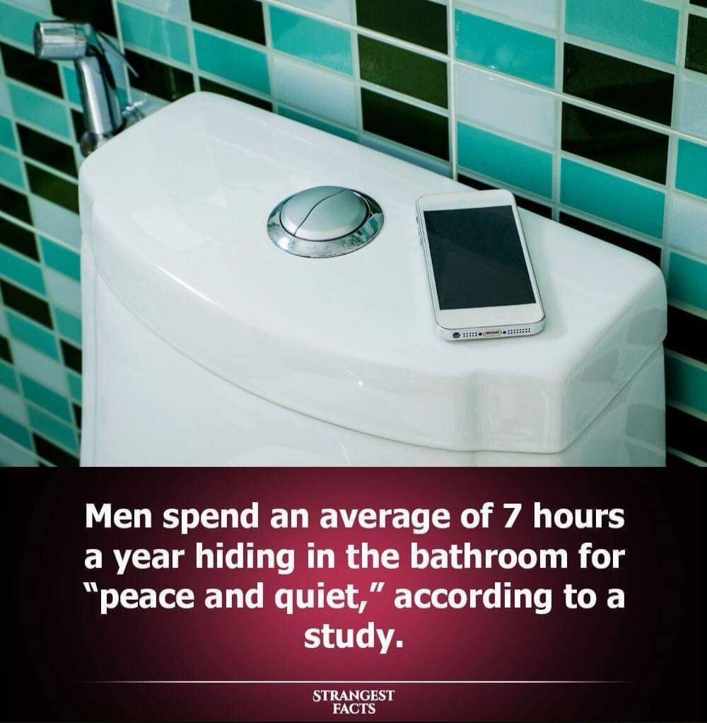 Men spend an average of 7 hours a year hiding in the bathroom for peace and quiet according to a study STRANGEST iy