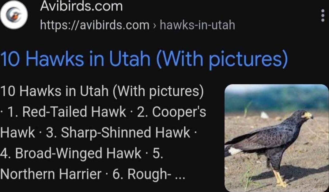 faldlellfe SRelelyy httpsavibirdscom hawks in utah 10 Hawks in Utah With pictures L E Ve G TS 1 Red Tailed Hawk 2 Coopers Hawk 3 Sharp Shinned Hawk 4 Broad Winged Hawk 5 Northern Harrier 6 Rough