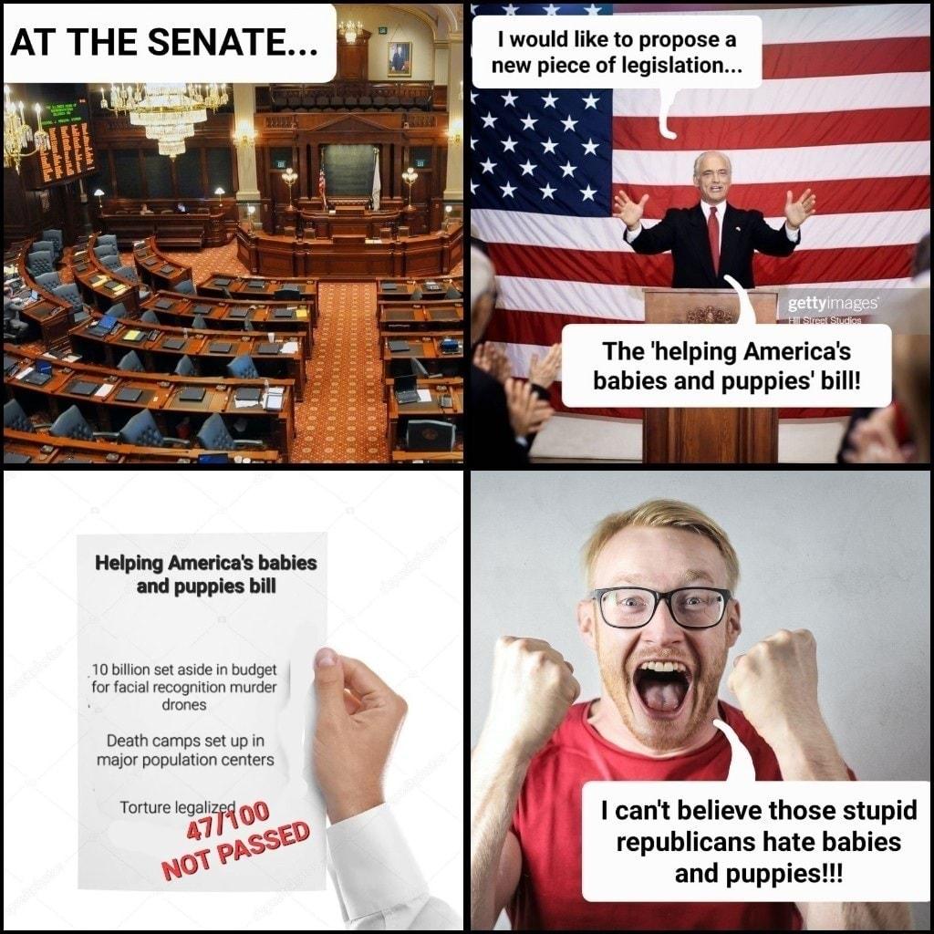 AT THE SENATE I would ke to propose a new piece of lgisiation The helping Americas babies and puppies i republicans hate babies and puppies