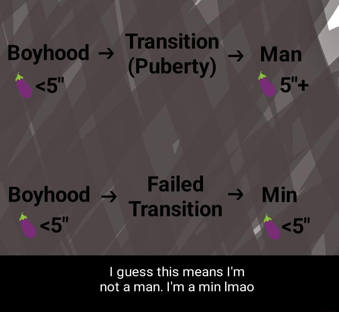 Transition o ot Puberty Man 5 5 Failed g prhood Transition pig 5 5 1 guess this means Im not aman Im a min Imao