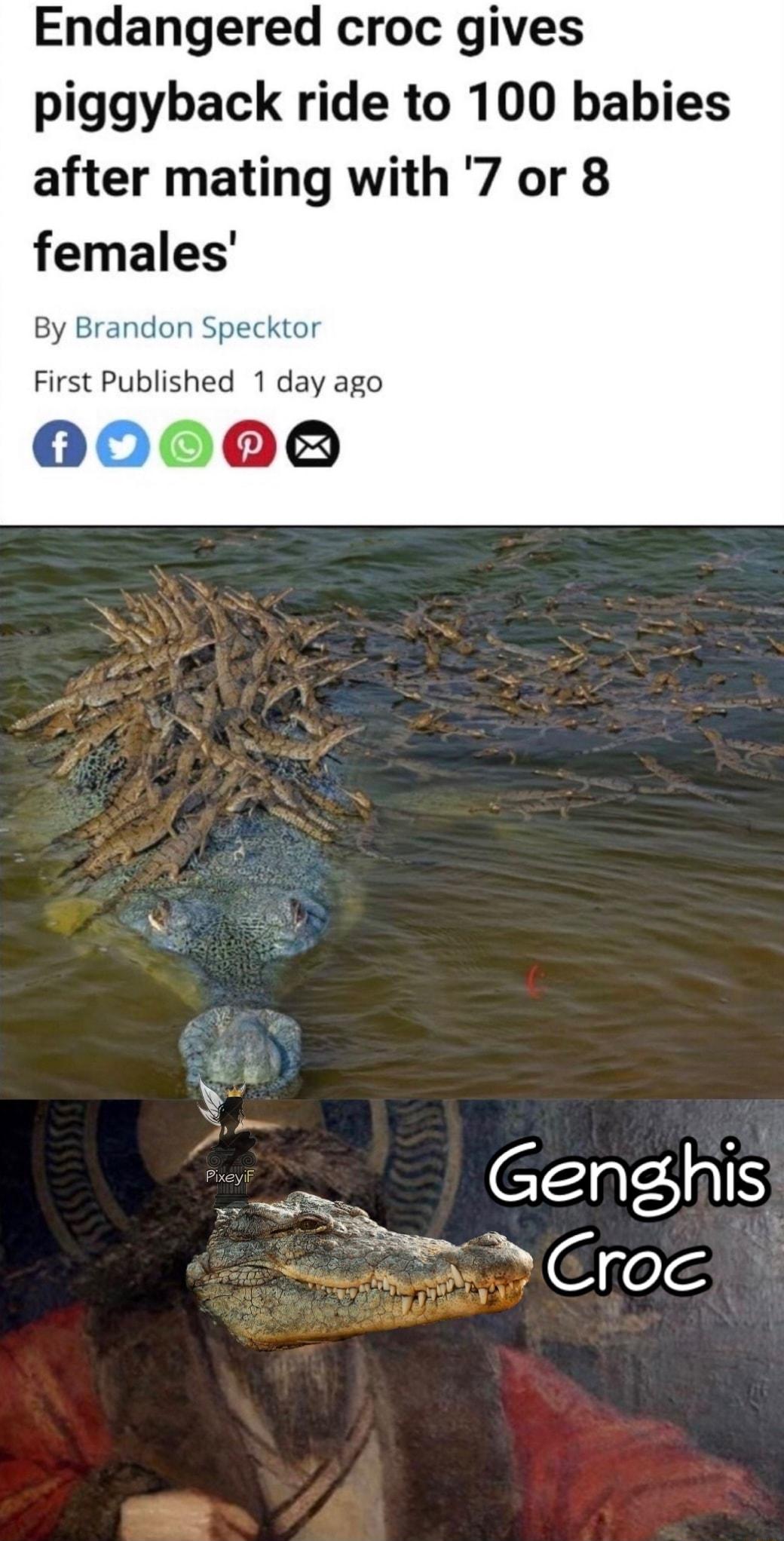 Endangered croc gives piggyback ride to 100 babies after mating with 7 or 8 females By Bran First Published 1 day ago 006006
