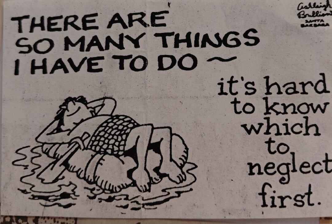 THERE ARE SO MANY THINGS I HAVE TO DO ~ it's hard to know which to neglect first.