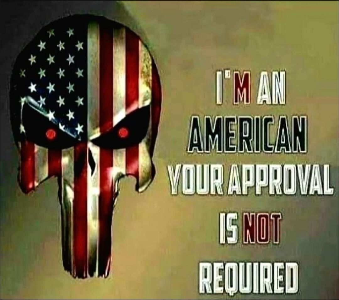 I'm an American, your approval is not required