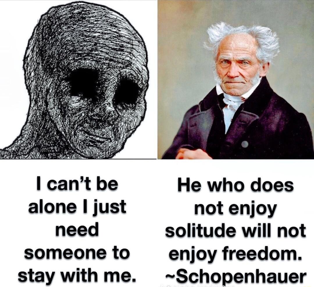 I cant be He who does alone just not enjoy need solitude will not someone to enjoy freedom stay with me Schopenhauer
