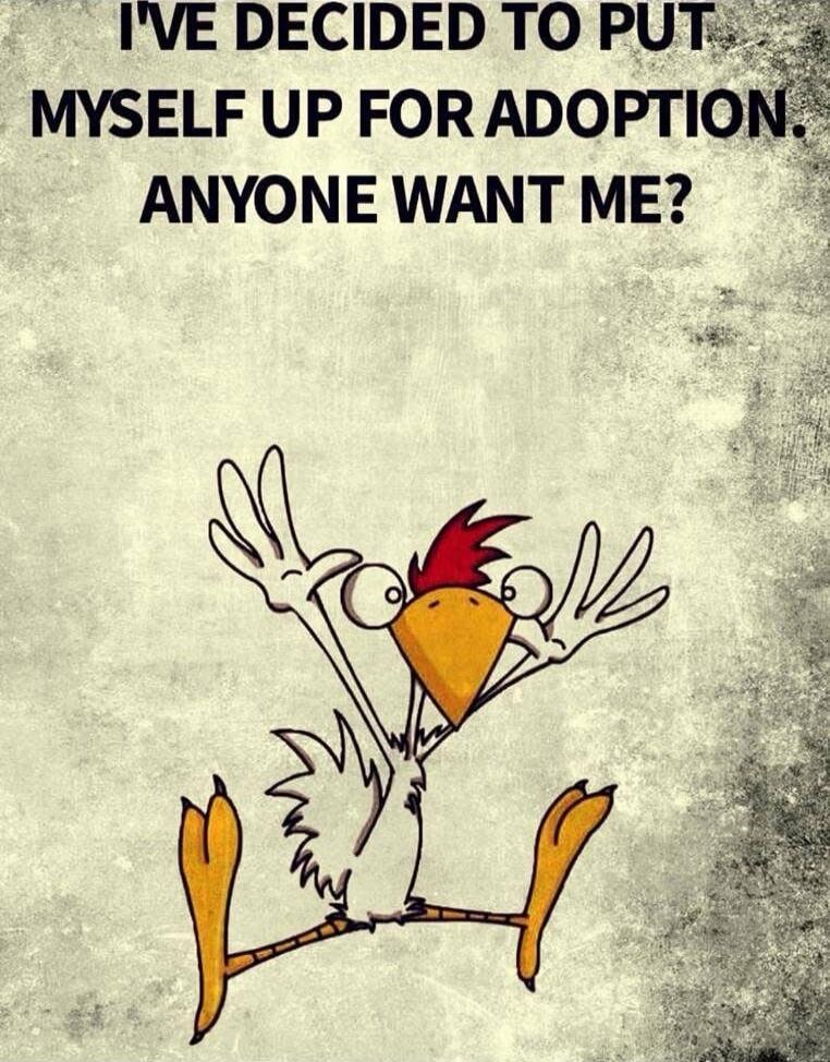 I'VE DECIDED TO PUT MYSELF UP FOR ADOPTION. ANYONE WANT ME?