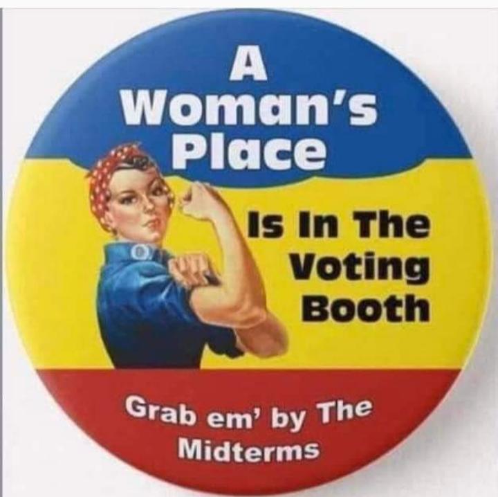 is In The Voting Booth Grab em by The Midterms SSLCipome