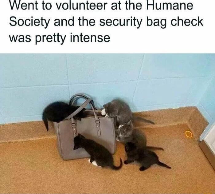 Went to volunteer at the Humane Society and the security bag check was pretty intense