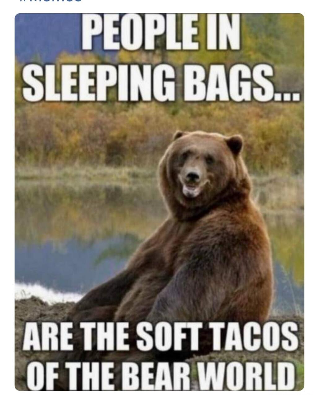 PEOPLE IN SLEEPING BAGS... ARE THE SOFT TACOS OF THE BEAR WORLD