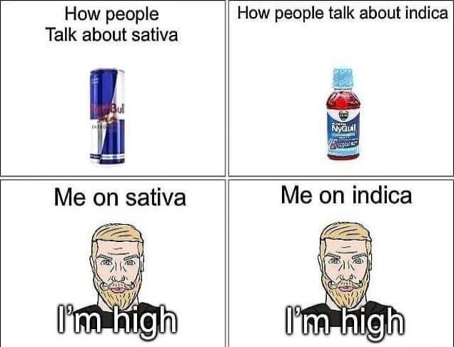 How people Talk about sativa How people talk about indica ws Me on sativa Me on indica