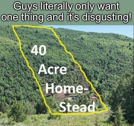 S NETE N eIl el I Wallnke EXare 1S Gl UStTare