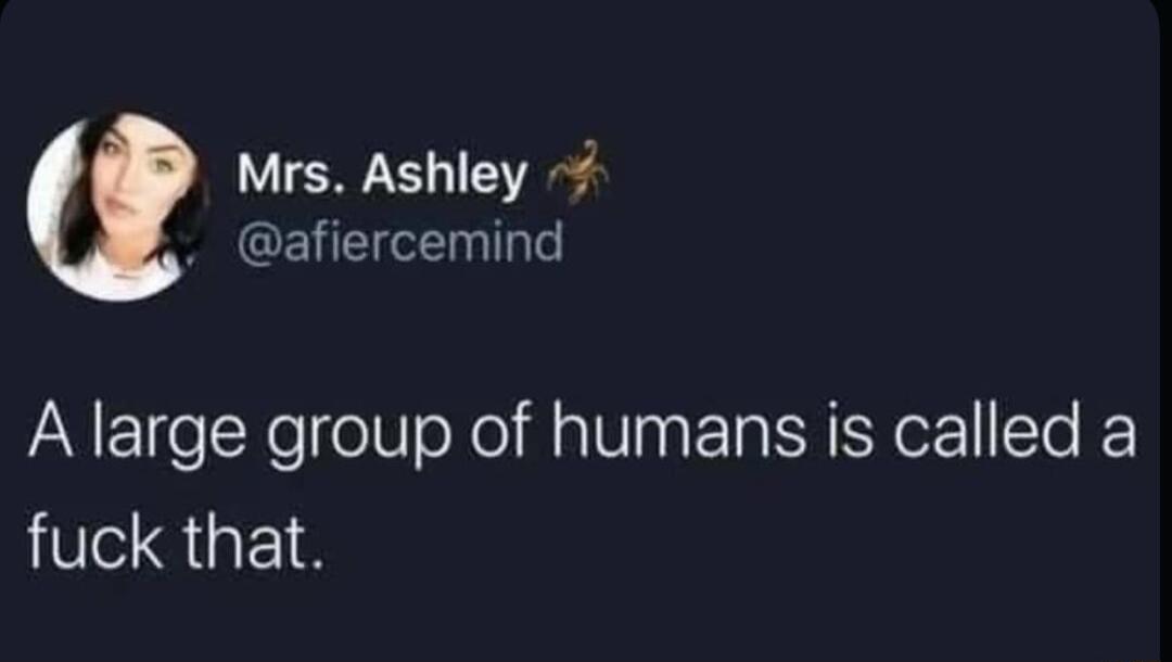 Mrs Ashley afiercemind A large group of humans is called a fuck that