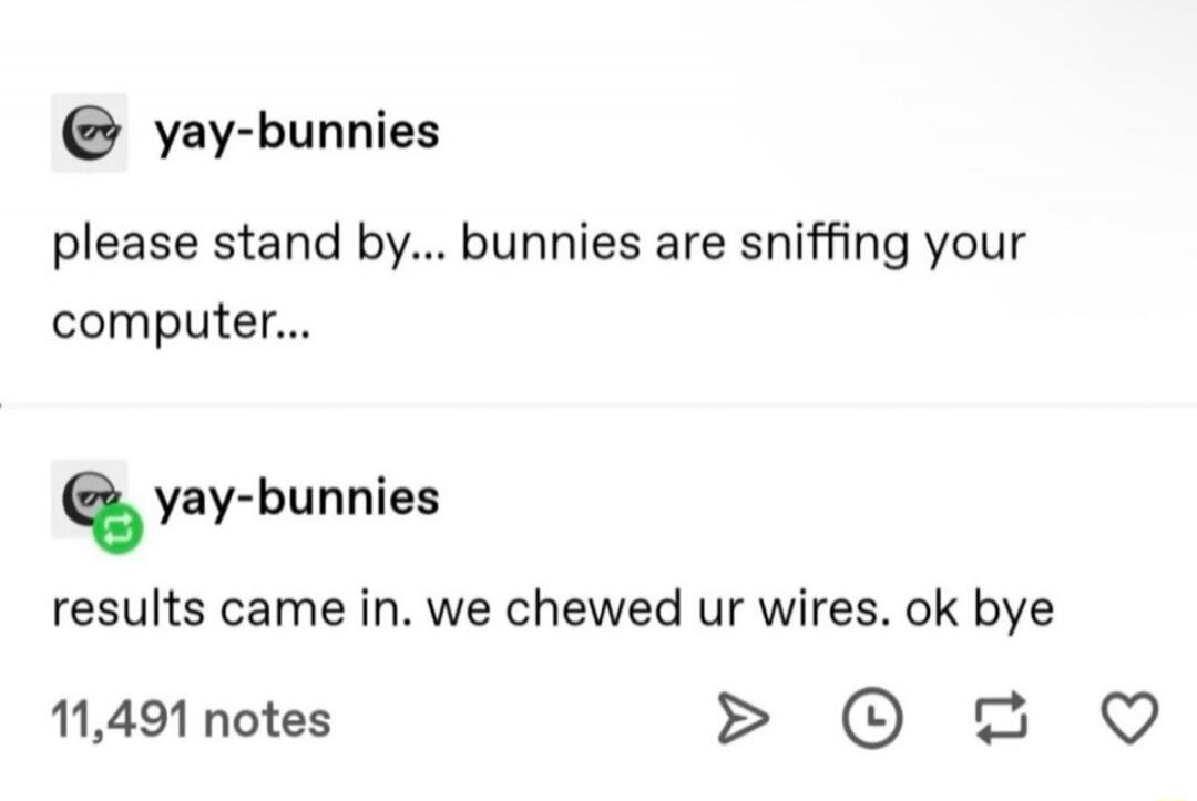 yay-bunnies please stand by... bunnies are sniffing your computer... yay-bunnies results came in. we chewed ur wires. ok bye
