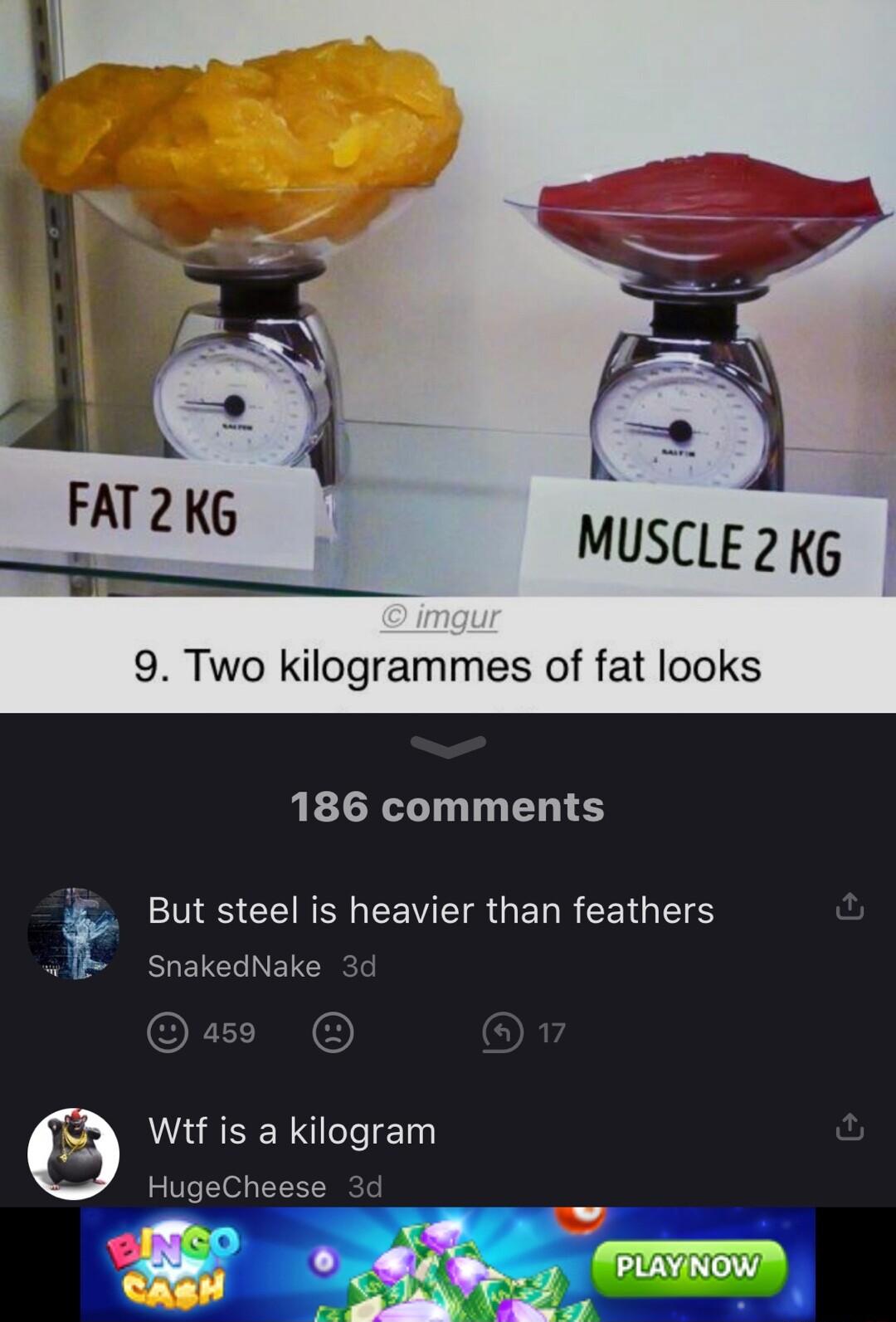 9 Two kilogrammes of fat looks 186 comments NS CEIRRLCEVEIR GERR EEIGES SnakedNake O Witf is a kilogram HugeCheese 3d