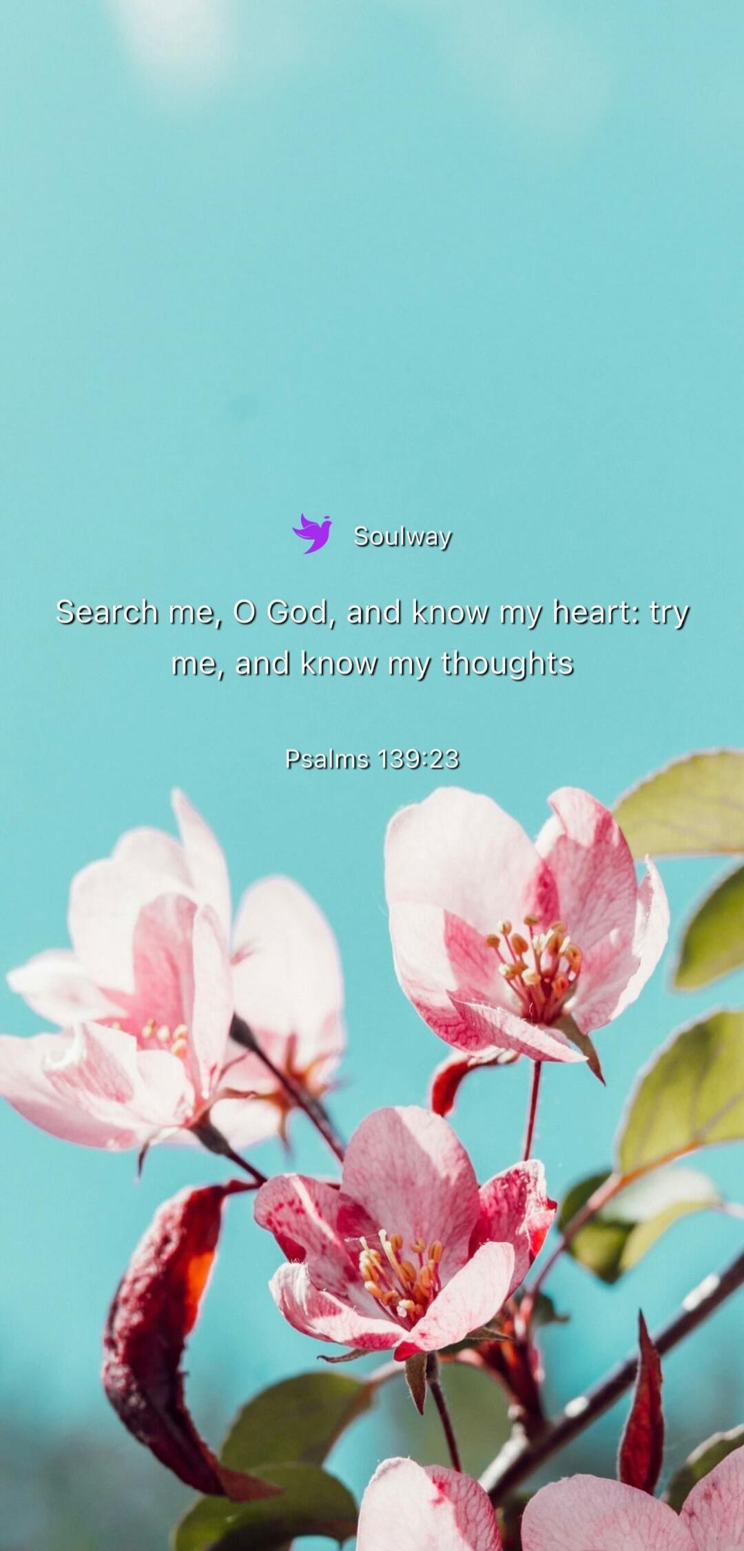 Soulway Search me, O God, and know my heart: try me, and know my thoughts Psalms 139:23