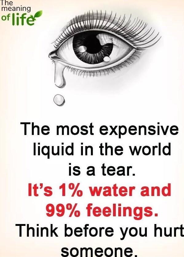 The most expensive liquid in the world is a tear Its 1 water and 99 feelings Think before you hurt someone