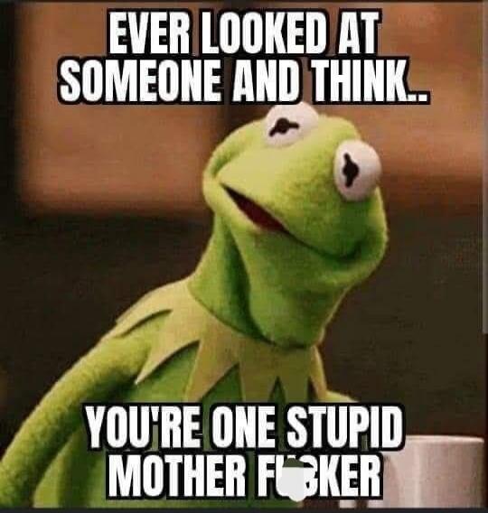 EVER LOOKED AT SOMEONE AND THINK..
YOU'RE ONE STUPID MOTHER F***ER