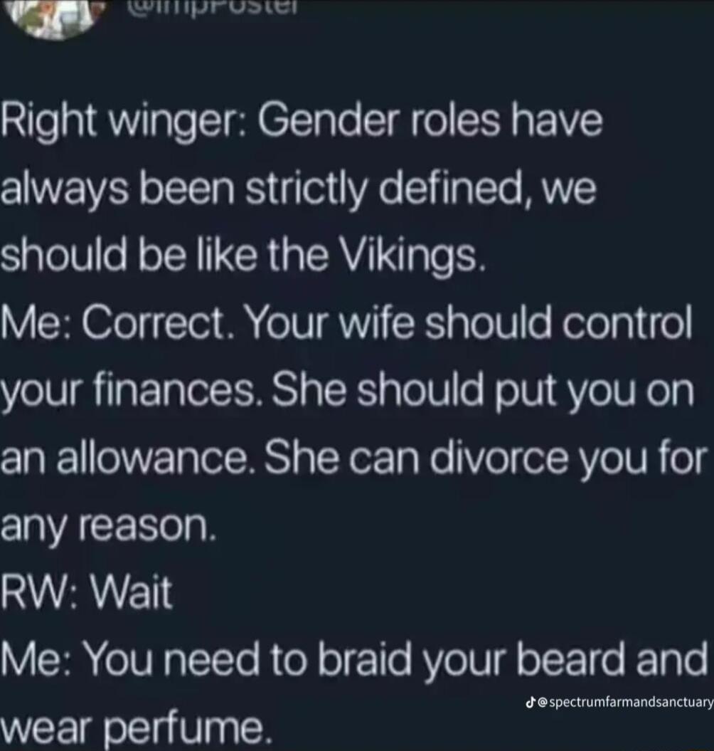 Eiprvate Right winger Gender roles have always been strictly defined we should be like the Vikings Me Correct Your wife should control your finances She should put you on an allowance She can divorce you for VAR RUANET Me You need to braid your beard and o e R