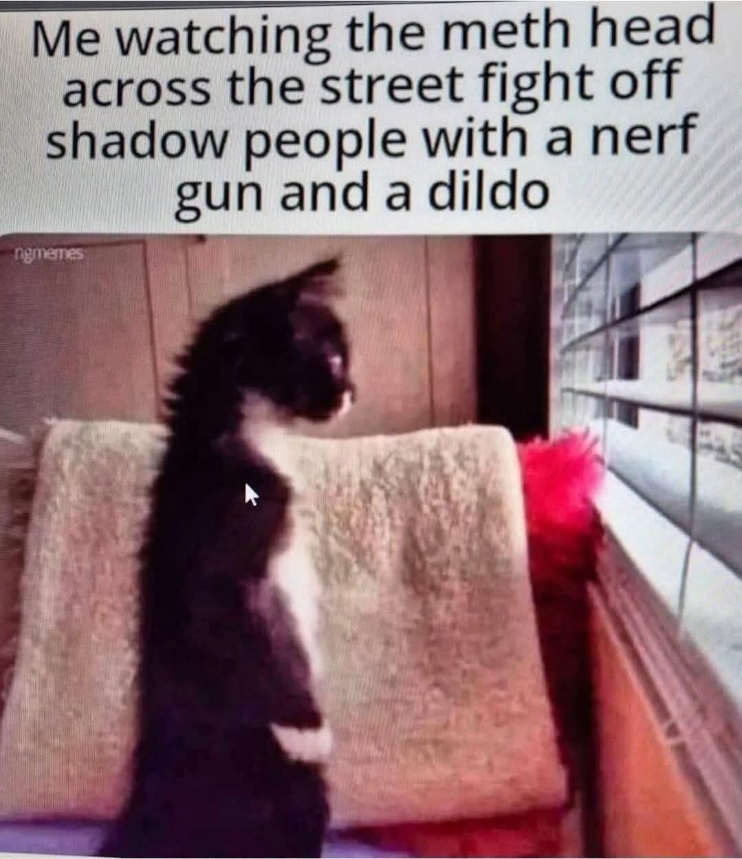 Me watching the meth head across the street fight off shadow people with a nerf gun and a dildo ngmemes