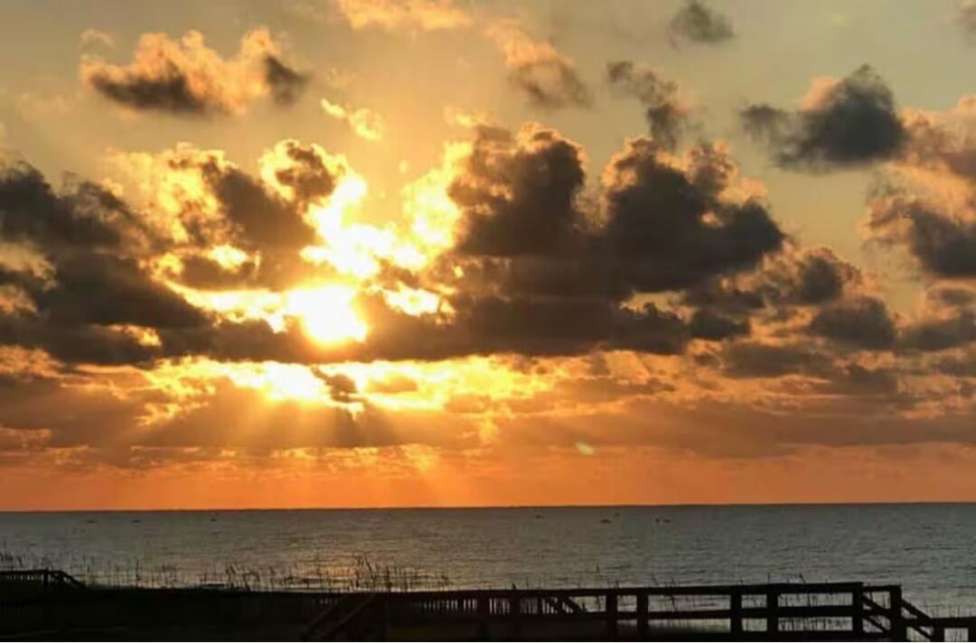 Session ID: 1007175.