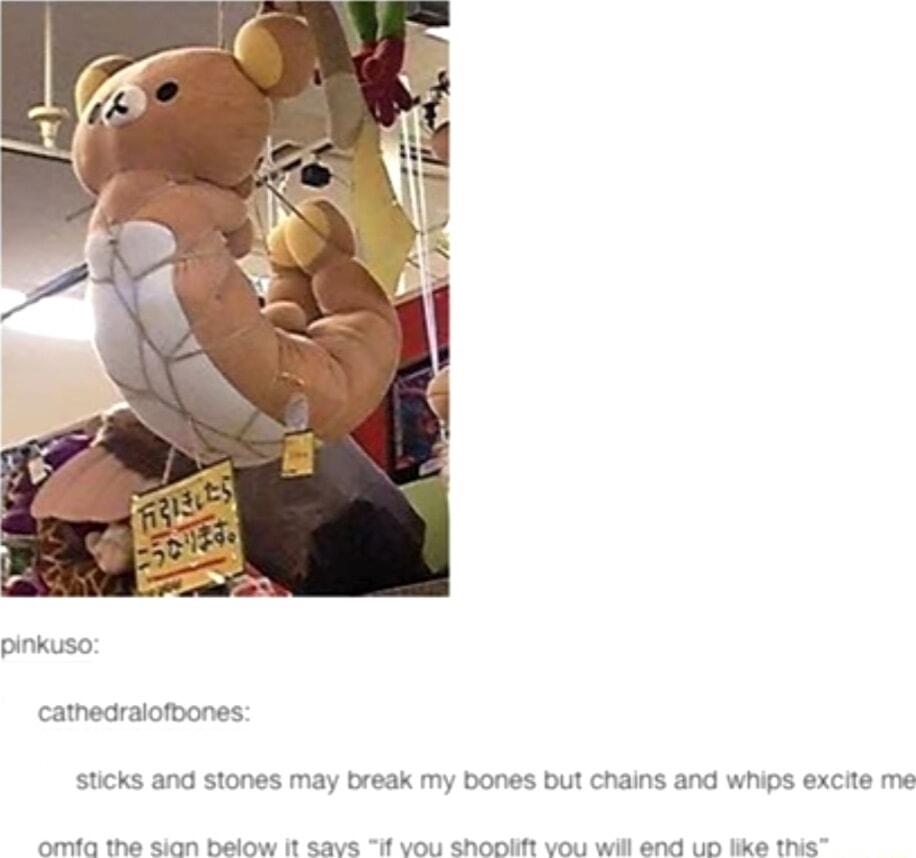 pinkuso cathedralofbones sticks and stones may break my bones but chains and whips excite me onda the Sion Balow R 88ve If vou Shoniift vou will and ud ke e