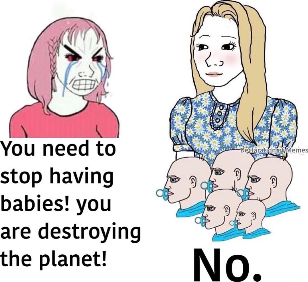 You need to stop having babies you are destroying the planet