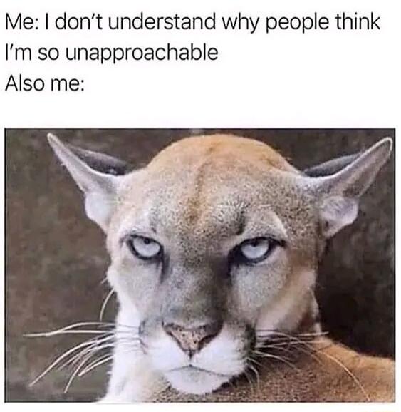 Me dont understand why people think Im so unapproachable Also me