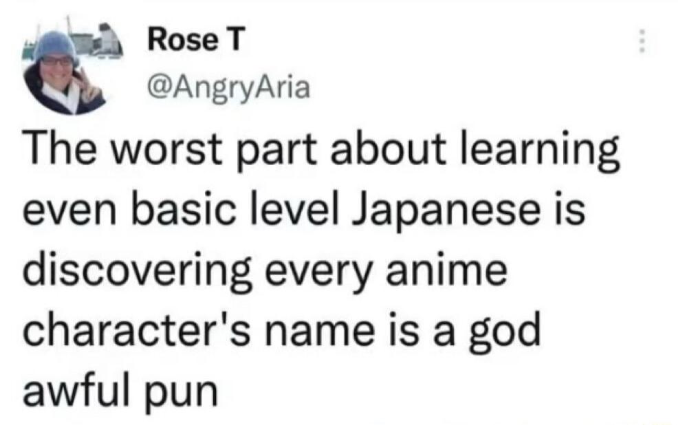 Rose T @AngryAria The worst part about learning even basic level Japanese is discovering every anime character's name is a god awful pun