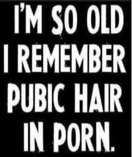 I'M SO OLD I REMEMBER PUBIC HAIR IN PORN.