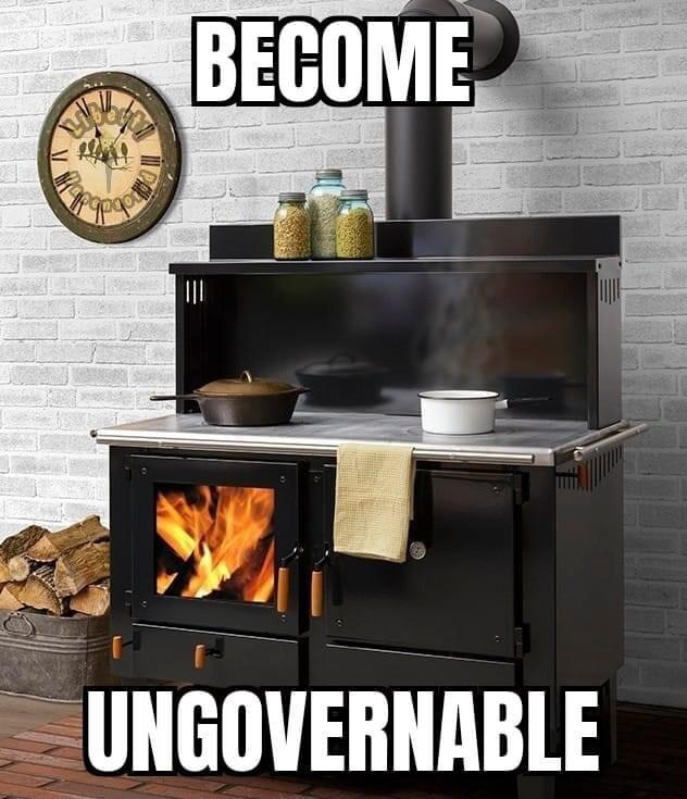 UNGOVERNABLE