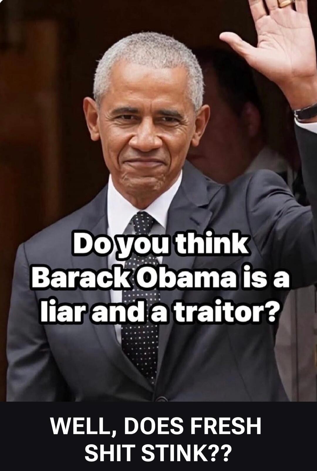 Do you think Barack Obama is a liar and a traitor? WELL, DOES FRESH SHIT STINK??